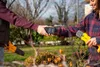 Two people in a garden, one handing a battery to the other, who is holding a gardening tool. Produktbild-Vorschau