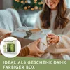 Nordstern Sound Box mit Naturklängen und Vogelgesang für Produktbild-Vorschau 3