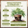 Green Home Grow Erde All Mix 72 L – Erde für Wachstum, Produktbild-Vorschau 5