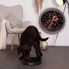 Lionto Anti Schlingnapf rutschfest Katzennapf Fressnapf Produktbild-Vorschau 3