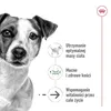 Royal Canin Mini Ageing 12+, Adult, Klein (5-10 kg), Mini Produktbild-Vorschau 8