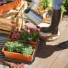 A person is watering plants in planters on a wooden deck. Anteprima dell’immagine prodotto