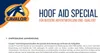 Cavalor Hoof Aid Special - 5 kg Anteprima dell’immagine prodotto 6