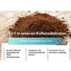 Bio2Grow Farm Mix Light 40 Liter Professional Erde Premium Produktbild-Vorschau 4