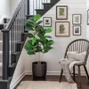 Künstliche Geigenfeige (Ficus Lyrata) 120 cm – Täuschend Produktbild-Vorschau 6