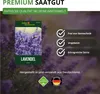 Lavendel Echter Samen - Lavandula angustifolia - Produktbild-Vorschau 8
