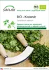 SAFLAX - BIO - Koriandr - Coriandrum sativum - 150 Semena Náhled obrázku produktu 1