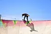 *Street Surfing Waveboard "WAVE LX"- Design: Snake Pit Produktbild-Vorschau 3