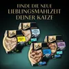 SHEBA Filets Adult Katzenfutter in Sauce mit Huhn 16 x 60g Produktbild-Vorschau 8
