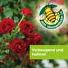 Protect Garden Curamat AZ Universal-Pilzfrei 1 L Produktbild-Vorschau 10