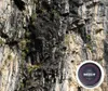 Shilajit  PREMIUM - Original  Mumijo - Harz Paste 100% - Produktbild-Vorschau 5