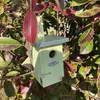 Esschert Design Nichoir Troglodyte ; NKN Voir les images du produit 4