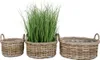 Natur Rattankorb NORDERNEY Kubu Grey ca.40cm Pflanzkorb Produktbild-Vorschau 4