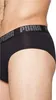 Puma Basic Boxershorts 2 Einheiten Schwarz M Mann Schwarz M Produktbild-Vorschau 4