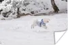 MuchoWow® Poster Malteser Hund springt in den Schnee Produktbild-Vorschau 1