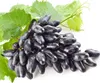 A bunch of dark blue grapes with green leaves on a white background. Produktbild-Vorschau