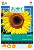 Buzzy Sunny Flowers Riesen Sonnenblume Giganteus Samen - Produktbild-Vorschau 4
