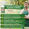Holzwurm Abwehrspray Power-Konzentrat 500 ml – Natürliches Produktbild-Vorschau 8