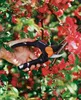 Fiskars PowerGear Rollgriff-Gartenschere, Bypass P94 Produktbild-Vorschau 7