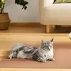 40X300 Selbstklebend Kratzpads für Katzen Kratzteppich Wand Produktbild-Vorschau 2