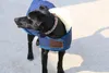 Kentucky Dogwear Hundemantel Original Hundejacke Marine L Anteprima dell’immagine prodotto 7