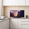 Coloray Küchenrückwand 140x70 Spritzschutz aus Glas - Berg Produktbild-Vorschau 3