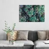 DEQORI Glasbild Echtglas 90x60 cm 'Sukkulente Pflanzen' Produktbild-Vorschau 3