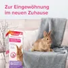 Beaphar RabbitComfort, Kaninchen, Spray, 30 ml, 1 Stück(e), Produktbild-Vorschau 5