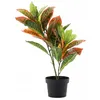 Künstliche Bume im Topf, Gummibaum 58 cm Produktbild-Vorschau 4