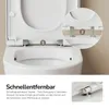 EMKE Hangtoilet, keramisch, dubbele spoeling in Productafbeelding-voorbeeld 5