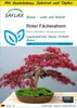 SAFLAX Anzucht Set - Roter Fächerahorn - Acer palmatum Produktbild-Vorschau 1