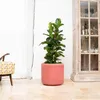 Doniczka ceramiczna Provencelia LONDON Różowy, Ø29 cm x H30 Podgląd zdjęcia produktu 6