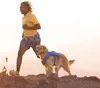 Ruffwear Trail Runner Leine Blue Pool Produktbild-Vorschau 9
