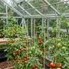 Relaxdays Tomaten Haken, 15er Set, 5 Meter kompostierbare Produktbild-Vorschau 5