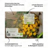 Tomatensamen (Yellow Submarine, 10 Korn) - Tomaten Saatgut Produktbild-Vorschau 5