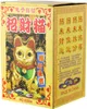 A box for a golden lucky cat figurine, with Chinese characters and images of coins. Produktbild-Vorschau