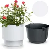 A white planter with a rose plant and a separate gray insert. Produktbild-Vorschau