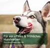 AniForte Barf Complete Pulver für Hunde 500g - Natürliche Produktbild-Vorschau 6