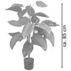 Decovego Umelá arónia (Araceae Arum Taro), umelá rastlina z Náhľad obrázku produktu 6