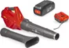 Akku Laubbläser Wolf Garten LYCOS 40/740 B 40V Set Produktbild-Vorschau 1