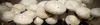 PLANTO Sada pro domácí pěstování Žampión bílý 3 l (Agaricus Náhled obrázku produktu 9