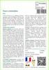 SAFLAX  - Fleurs comestibles - 1000 graines - Mix Voir les images du produit 3