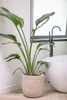 A potted plant sits next to a bathtub in a modern bathroom. Náhľad obrázku produktu