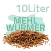 10 Liter getrocknete Mehlwürmer Produktbild-Vorschau