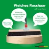 Novaliv Saalbesen Naturhaar 50 cm I Besen mit Stiel Produktbild-Vorschau 6
