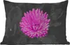 MuchoWow® Outdoor Kissen - Blumen - Aquarell - Rosa - 50x30 Produktbild-Vorschau 1