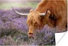 MuchoWow® Poster Schottisches Hochlandrind - Tiere - Heide Produktbild-Vorschau 1