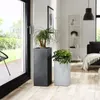 Scheurich 240/30 Pflanzgefäß C-Cube Stony Black - 28,5 cm x Produktbild-Vorschau 16