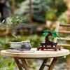 LEGO Creator Expert, Drzewko Bonsai, Dekoracja do Domu, Podgląd zdjęcia produktu 6