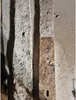 Fartools Spazzola per Legno Lamellare Spaccato, Diam.120 mm Anteprima dell’immagine prodotto 5
